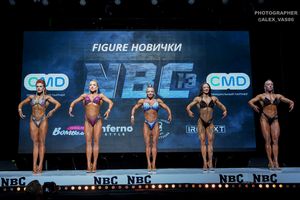 FIGURE НОВИЧКИ
